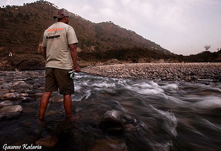 Mahseer